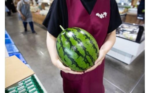 ãïŒåå®æäŸ¿ãã«ãã»ããšãã¹ã€ã«(倧ç) 1ç - ã¹ã€ã« é«ç¥çç£ ã«ãããšã ã®ãã èŽãç© ã®ã ãã«ãŒã倧奜ã è¥¿ç æç© å€ã®æç© é«ç¥ç éŠååž åžžæž© Wyu-0069