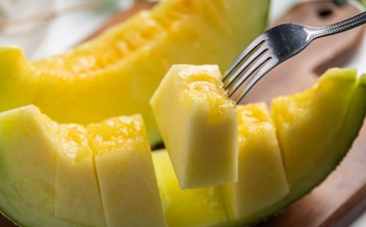 マスクメロン&柑橘2種セット - フルーツ 果物 果実 青果 メロン 濃厚 柑橘 蜜柑 文旦 みかん 小夏 きんかん 訳あり 訳アリ ご家庭用 家庭用 自宅用 不揃い 小傷 やすらぎ市 高知県 香南 常温 yr-0111