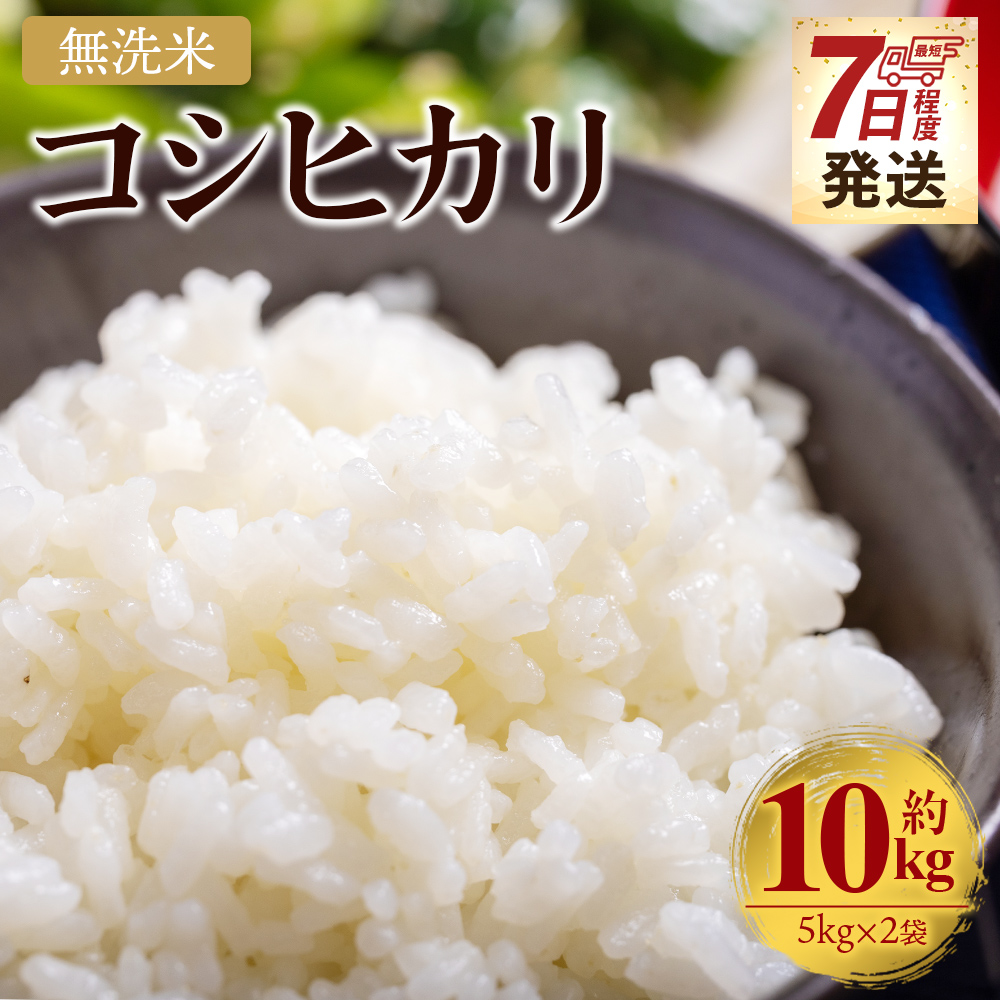 ã7æ¥çšåºŠã§çºéãæ°ç±³ 什å7å¹Žç£ ç¡æŽç±³ ã³ã·ãã«ãª 10kg - ãç±³ çœç±³ 粟米 æ©ãå±ã ã¹ããŒãçºé æçé
é æ©ã cs-0002