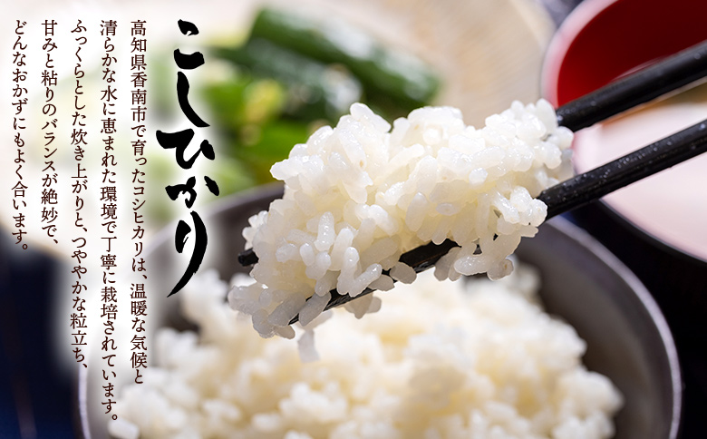 無洗米 コシヒカリ 計約9kg -  国産 米 お米 おこめ こしひかり 白米 精米 ごはん おにぎり ご飯 ギフト 贈答 防災 備蓄 高知食糧株式会社 高知県 香南市 常温 cs-0004