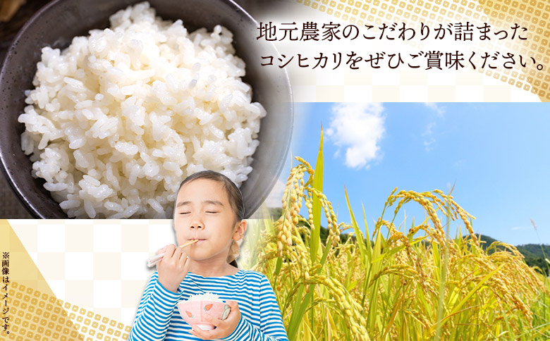 無洗米 コシヒカリ 計約9kg -  国産 米 お米 おこめ こしひかり 白米 精米 ごはん おにぎり ご飯 ギフト 贈答 防災 備蓄 高知食糧株式会社 高知県 香南市 常温 cs-0004