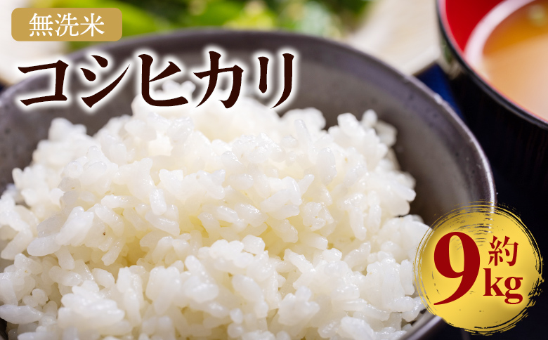 無洗米 コシヒカリ 計約9kg -  国産 米 お米 おこめ こしひかり 白米 精米 ごはん おにぎり ご飯 ギフト 贈答 防災 備蓄 高知食糧株式会社 高知県 香南市 常温 cs-0004