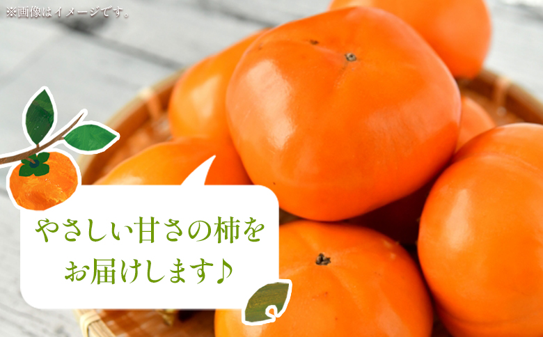 【先行予約】【訳あり】 柳本果樹園の柿 5kg - ご家庭用 果物 くだもの フルーツ カキ かき 甘い おいしい 送料無料 期間限定 季節限定 数量限定 柳本果樹園 高知県 香南市 yg-0017