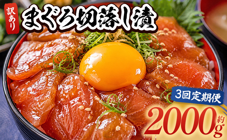 【3回定期便】 まぐろ切落し漬 訳あり 計2000g 80g×25袋 - まぐろ マグロ 鮪 配送回数 定期便 小分け 海鮮 魚介 冷凍食品 加工品 漬けマグロ 海鮮丼 まぐろ漬け丼 刺身 おかず おつまみ 刺身 株式会社大熊 高知県 香南市 冷凍 Wda-0046
