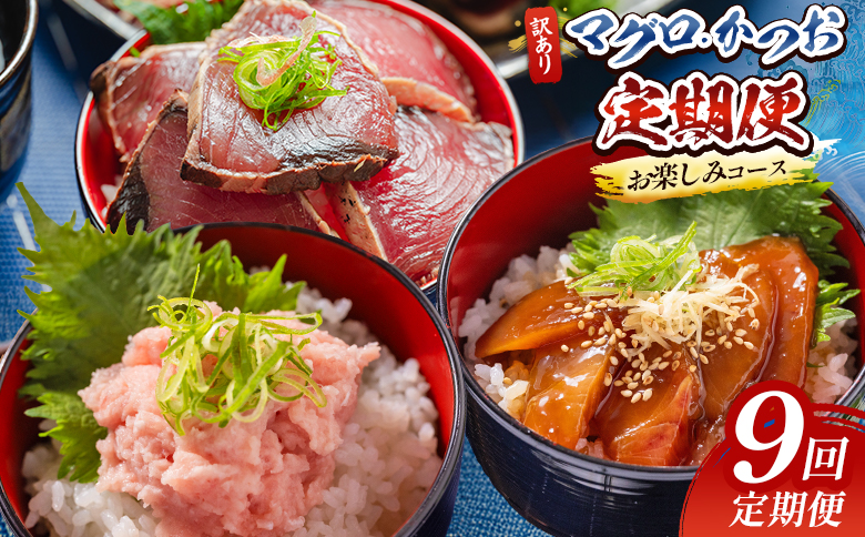 【9回定期便】マグロ かつおお楽しみ定期便 - 訳あり マグロ 鮪 カツオ 鰹 漬けマグロ たたき ネギトロ 配送回数 定期便 小分け 海鮮 魚介 冷凍食品 加工品 海鮮丼 刺身 株式会社大熊 高知県 香南市 冷凍 Wda-0053