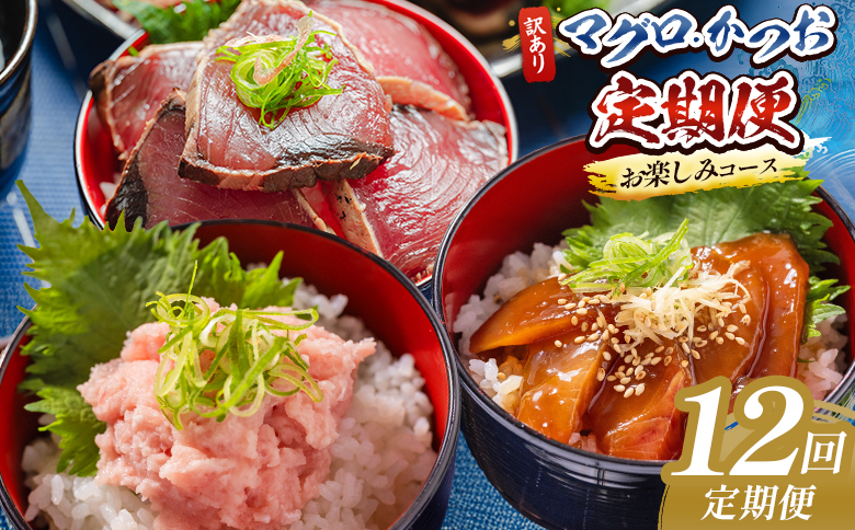 【12回定期便】マグロ かつおお楽しみ定期便 - 訳あり マグロ 鮪 カツオ 鰹 漬けマグロ たたき ネギトロ 配送回数 定期便 小分け 海鮮 魚介 冷凍食品 加工品 海鮮丼 刺身 株式会社大熊 高知県 香南市 冷凍 Wda-0054