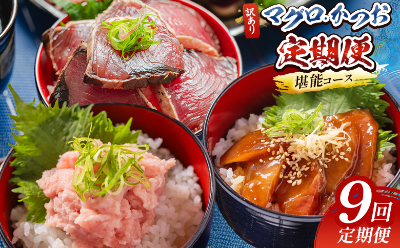 【9回定期便】マグロ かつお堪能定期便 - 訳あり マグロ 鮪 カツオ 鰹 漬けマグロ たたき ネギトロ 配送回数 定期便 小分け 海鮮 魚介 冷凍食品 加工品 海鮮丼 刺身 株式会社大熊 高知県 香南市 冷凍 Wda-0057