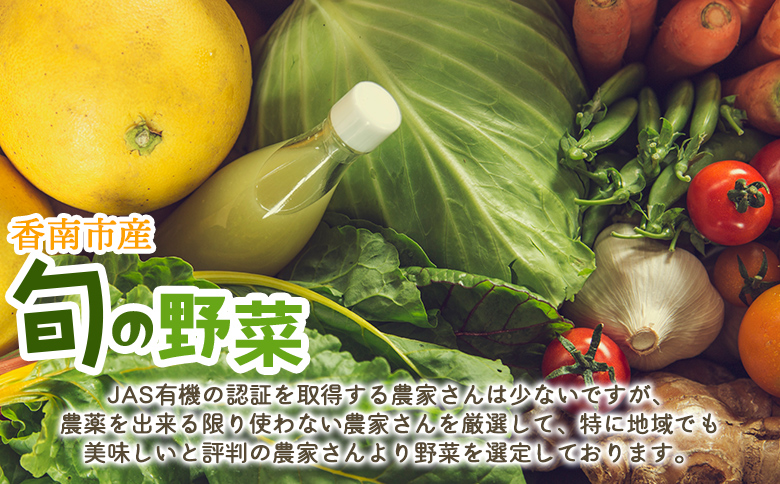 定期便2回コース 高知県香南市産 旬のお野菜詰合せ(10～13品目) - 送料無料 10～13種類 やさい 季節の野菜 新鮮 お楽しみ おたのしみ おまかせ 詰め合わせ セット 土佐野菜 新鮮 国産 高知県 香南市 プライム Wpr-0018