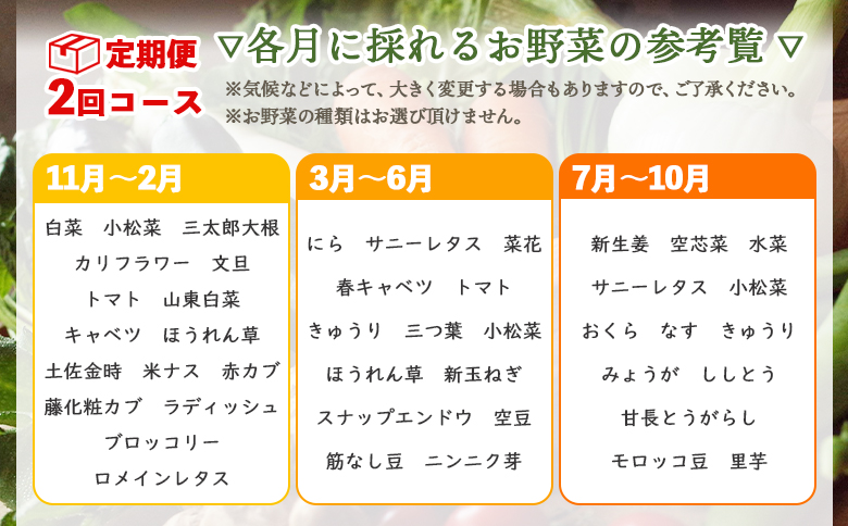 定期便2回コース 高知県香南市産 旬のお野菜詰合せ(10～13品目) - 送料無料 10～13種類 やさい 季節の野菜 新鮮 お楽しみ おたのしみ おまかせ 詰め合わせ セット 土佐野菜 新鮮 国産 高知県 香南市 プライム Wpr-0018