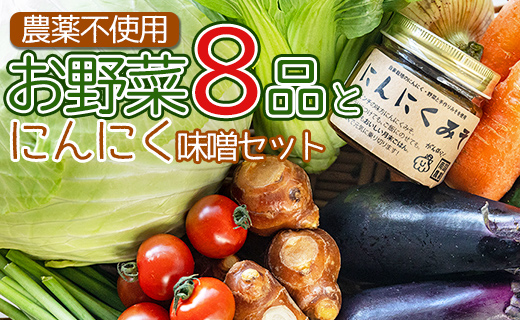 農薬不使用のお野菜8品とにんにく味噌のセット　3U-194