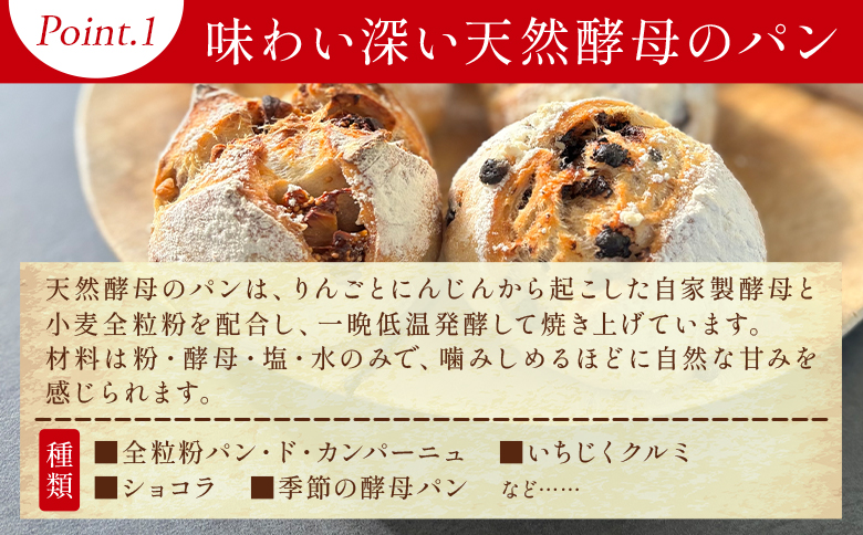 mongo mongoモンゴモンゴこだわりパンセット B 15個入り - 国産 北海道産 小麦 フランスパン 食パン 菓子パン 総菜パン 白パン 酵母パン ショコラ 詰め合わせ mongo mongo 高知県 香南市 冷凍 mo-0008