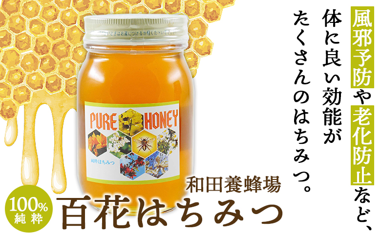 【数量限定】和田養蜂場 百花はちみつ(600g)１本 - 蜂蜜 ハチミツ ハニー 朝食 トースト おやつ デザート スイーツ 甘い 甘味 アレンジ ヨーグルト ティータイム 紅茶 お菓子作り 隠し味 のし対応不可 送料無料 高知県 香南市 常温 wh-0003