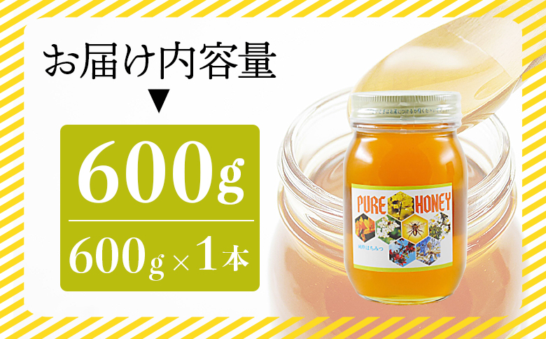 【数量限定】和田養蜂場 百花はちみつ(600g)１本 - 蜂蜜 ハチミツ ハニー 朝食 トースト おやつ デザート スイーツ 甘い 甘味 アレンジ ヨーグルト ティータイム 紅茶 お菓子作り 隠し味 のし対応不可 送料無料 高知県 香南市 常温 wh-0003