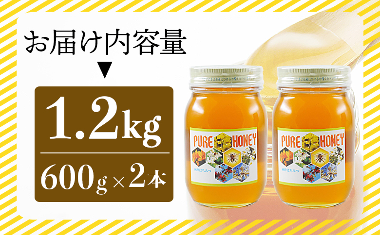 和田養蜂場 百花はちみつ 600g×2本 - 蜂蜜 ハチミツ ハニー 朝食 トースト おやつ デザート スイーツ 甘い 甘味 アレンジ ヨーグルト ティータイム 紅茶 お菓子作り 隠し味 のし対応不可 送料無料 高知県 香南市 常温 wh-0004