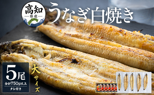 高知県産 うなぎの白焼き 大サイズ 5尾（合計750g以上）タレ付き - 送料無料 鰻 ウナギ 晩ご飯 夕飯 おかず 魚 肴 おつまみ 国産 贈答用 贈り物 吉川水産 高知県 香南市 yw-0124