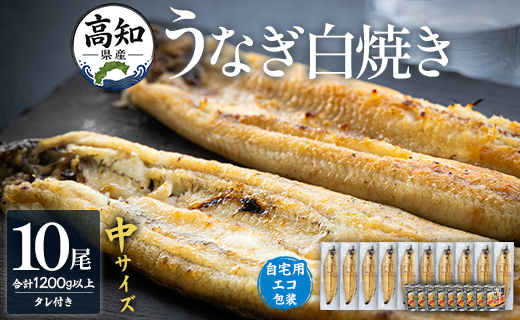高知県産うなぎの白焼 中サイズ 10尾(合計1200g以上) タレ付き 自宅用エコ包装 - 鰻 ウナギ 有頭 つまみ ご飯のお供 簡易包装 家庭用 老舗 国産 土佐湾 丑の日 吉川水産 高知県 香南市 冷凍 yw-0048