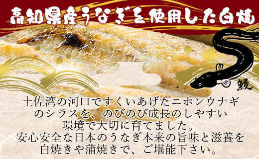 高知県産うなぎの白焼 特大サイズ 1尾(180～210g) - タレ付き 自宅用エコ包装 鰻 国産 吉川水産 高知県 香南市 yw【冷凍】 yw-0042