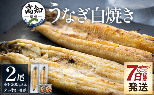 高知県産うなぎの白焼き 150～180ｇ×2尾 - エコ包装 国産 うなぎ 白焼き 鰻 冷凍 高知 yw-0114
