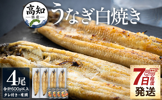 【7日程度で発送】高知県産 うなぎの白焼き 4尾 合計600g以上 yw-0116