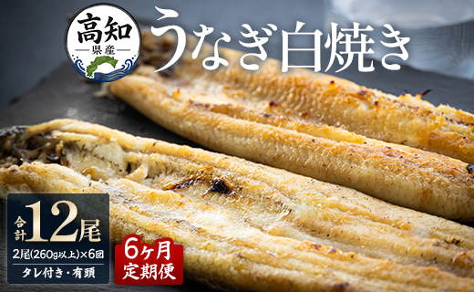 【6ヶ月定期便】高知県産うなぎの白焼き 合計12尾 (2尾260g以上×6回) タレ付き エコ包装 - 鰻 ウナギ しらやき 有頭 つまみ ご飯のお供 ごはん 丼 たれ 簡易 Wyw-0069