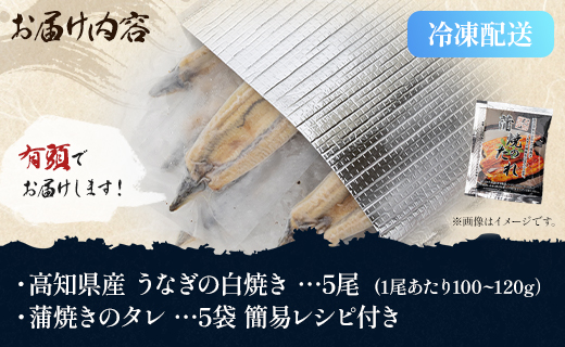 【限定100個】高知県産うなぎの白焼き 100ｇ～120ｇ×5尾 - 国産 鰻 ウナギ 有頭 背開き タレ付き つまみ ご飯のお供 老舗 土佐湾 吉川水産 高知県 香南市 冷凍 yw-0085