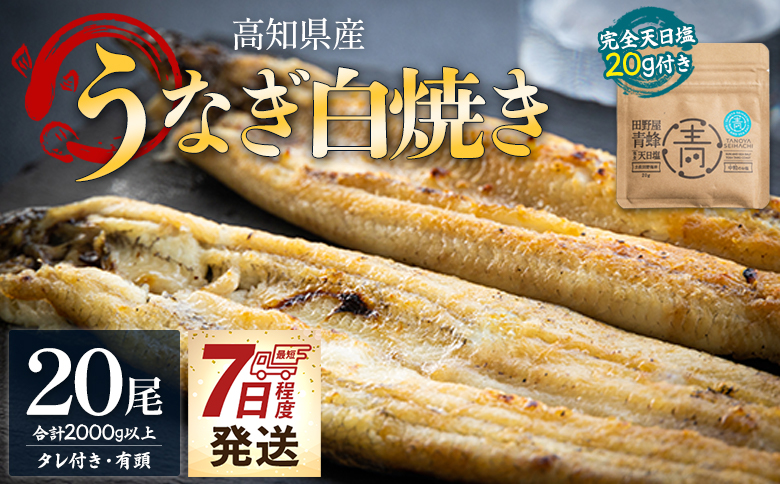 【7日程度で発送】国産うなぎ 高知県産 白焼き 20尾(100～110g×20尾) 合計2kg以上 田野町完全天日塩 20g付き スピード yw-0088