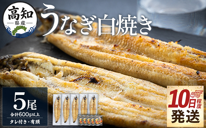 【10日程度で発送】高知県産鰻の白焼き120～130ｇ 5尾 蒲焼きのタレ5袋 エコ包装 - お中元 鰻 ウナギ 有頭 つまみ 蒲焼きのたれ タレ個包装 真空パック うな丼 ウナ丼 父の日 国産 吉川水産 高知県 香南市 冷凍 yw-0128