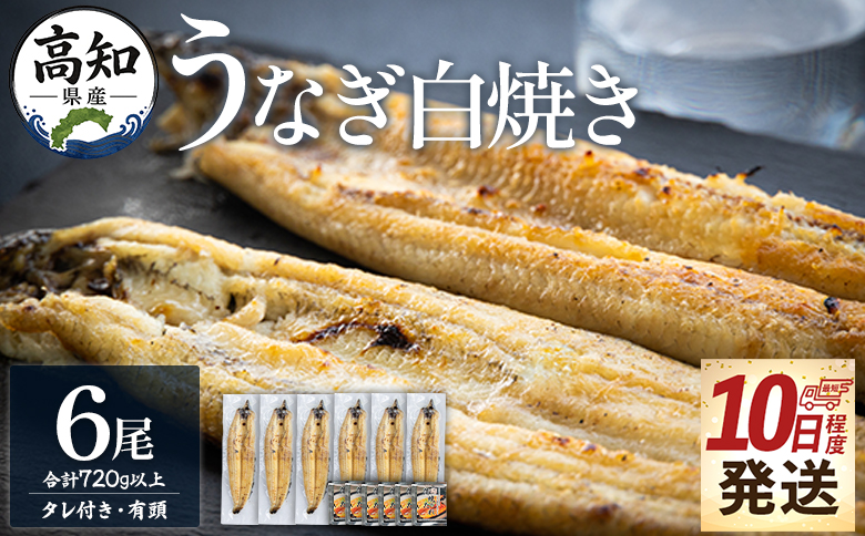 【10日程度で発送】高知県産鰻の白焼き120～130ｇ 6尾 蒲焼きのタレ6袋 エコ包装 - お中元 鰻 ウナギ 有頭 つまみ 蒲焼きのたれ タレ個包装 真空パック うな丼 ウナ丼 父の日 国産 吉川水産 高知県 香南市 冷凍 yw-0129