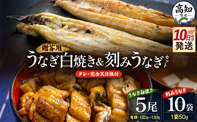 【10日程度で発送】贈答用 高知県産鰻の白焼き120～130ｇ5尾 刻み鰻50ｇ×10袋 蒲焼きのタレ10袋 天日塩20ｇ - お中元 鰻 ウナギ 有頭 つまみ 蒲焼きのたれ 個包装 真空パック うな丼 父の日 国産 吉川水産 高知県 香南市 冷凍 yw-0132