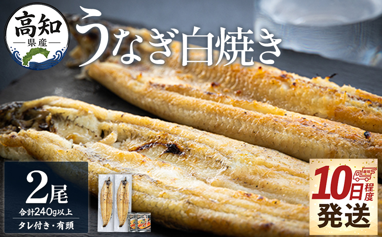 【10日程度で発送】高知県産鰻の白焼き120～130ｇ 2尾 蒲焼きのタレ2袋 エコ包装 - お中元 鰻 ウナギ 有頭 つまみ 蒲焼きのたれ タレ個包装 真空パック うな丼 ウナ丼 父の日 国産 吉川水産 高知県 香南市 冷凍 yw-0126