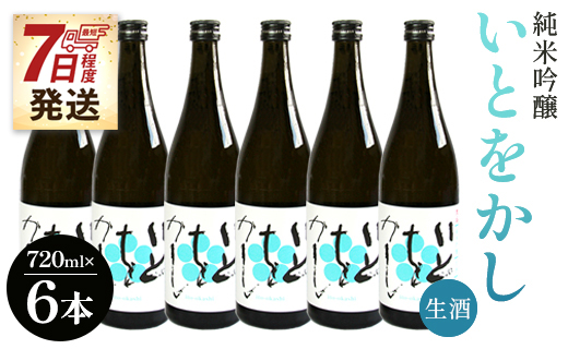 【7日程度で発送】白ワインのようなお酒！純米吟醸 いとをかし 生酒 720ml×6本 - お酒 日本酒 地酒 アルコール フルーティー 高木酒造 高知県 香南市 gs-0085