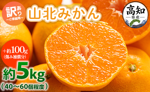訳あり 山北みかん ご家庭用 約5kg（約40～60個） 山北みらい - 果物 フルーツ 柑橘類 温州みかん ミカン 蜜柑 訳アリ わけあり 生産者応援 甘い おいしい 高知県 香南市 yk-0076