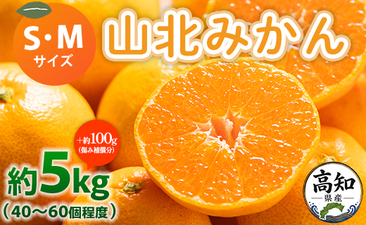 山北みかん S・Mサイズ 約5kg（40～60個程度）山北みらい 秀品 - 果物 フルーツ 柑橘類 温州みかん ミカン 蜜柑 甘い おいしい 美味しい 高知県 香南市 yk-0062