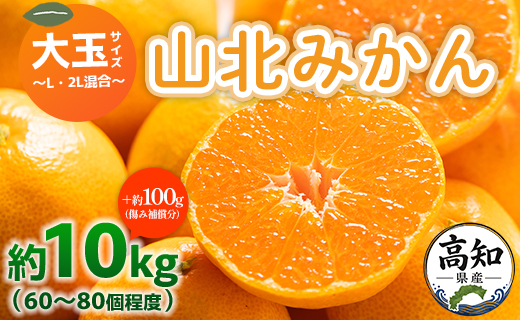山北みかん 大玉サイズ(L,2Lサイズ) 10kg 約60〜80個入り 甘い - 果物 フルーツ 柑橘類 温州みかん ミカン 蜜柑 甘い おいしい 美味しい 山北みらい 高知県 香南市 yk-0065