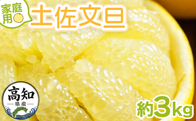 土佐文旦 家庭用 3kg 大小混合(サイズ：L～3L) - 果物 フルーツ 柑橘 ぶんたん ブンタン おいしい 送料無料 特産品 期間限定 山北みらい 高知県 香南市 常温 yk-0083