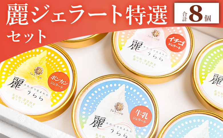添加物不使用 麗ジェラート 特選 8個セット - アイスクリーム デザート スイーツ お菓子 洋菓子 詰合せ 詰め合わせ アソート フレーバー ギフト 贈り物 添加物不使用 ドルチェかがみ 高知県 香南市 冷凍 dc-0068
