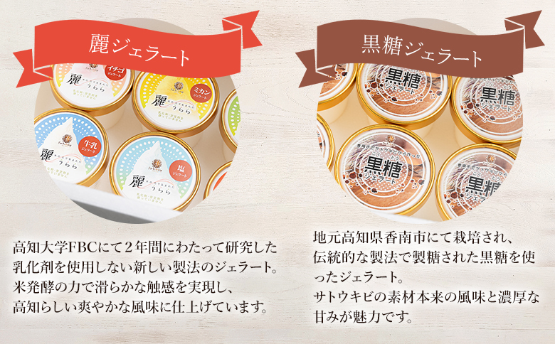 麗ジェラートと黒糖ジェラート 8個セット - アイスクリーム デザート スイーツ お菓子 洋菓子 詰合せ 詰め合わせ アソート フレーバー ギフト 贈り物 ドルチェかがみ 高知県 香南市 冷凍 dc-0072