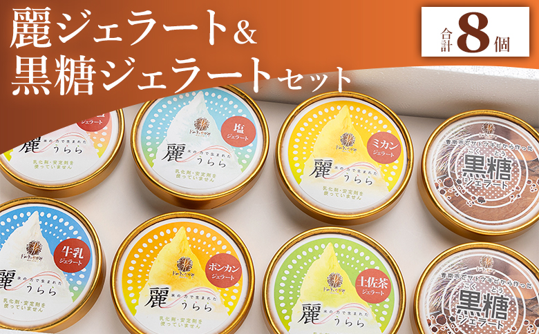 麗ジェラートと黒糖ジェラート 8個セット - アイスクリーム デザート スイーツ お菓子 洋菓子 詰合せ 詰め合わせ アソート フレーバー ギフト 贈り物 ドルチェかがみ 高知県 香南市 冷凍 dc-0072