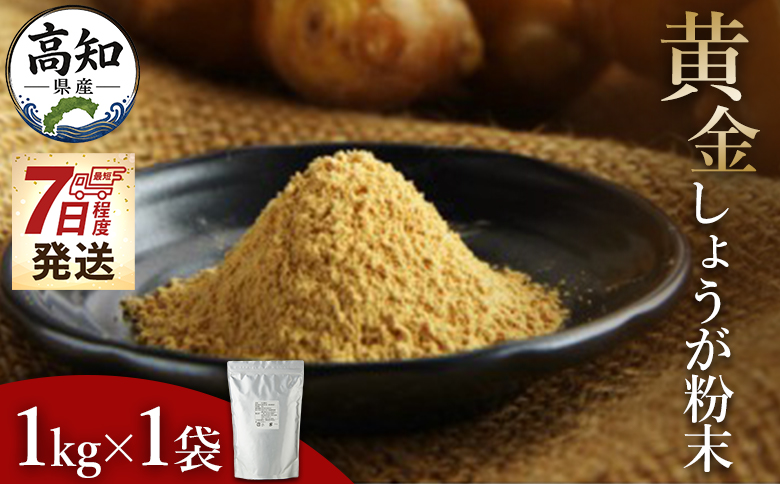 【7日程度で発送】黄金しょうが粉末 1kg - 送料無料 早い スピード発送 7日程度 早く 届く 生姜 ジンジャー のし対応不可 数量限定 ジンジャーパウダー 生姜粉末 からだぽかぽか 冷え症対策 国産 特産品 しょうが ショウガ 高知県産 野菜 坂田信夫商店 高知県 香南市 常温 Xnb-0010
