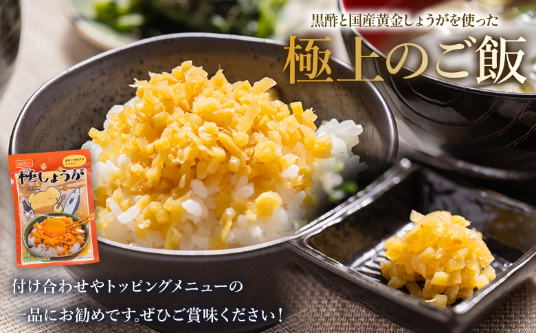 【7日程度で発送】味付け 極しょうが 110g×10袋 計1100g - 送料無料 早い スピード発送 7日程度 早く 届く 生姜 ジンジャー ご飯のお供 おかず トッピング アレンジ 料理 手軽 便利 刻み生姜 国産 特産品 しょうが ショウガ 高知県産 坂田信夫商店 高知県 香南市 常温 Xnb-0014