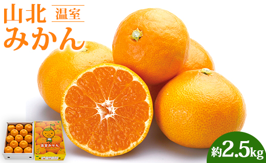 山北温室みかん2.5kg 果物 柑橘類 蜜柑 糖度高め フルーツ Bku-0012