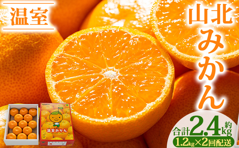 【2回定期便】山北温室みかん1.2kg - 秀品 果物 くだもの フルーツ 柑橘 蜜柑 お歳暮 ギフト 産地直送 送料無料 小玉大玉 国産 品種 年内配送 御礼 お礼 高知県 香南市 Wku-0059