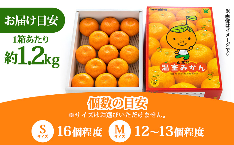 【３回定期便】山北温室みかん1.2kg - 秀品 果物 くだもの フルーツ 柑橘 蜜柑 お歳暮 ギフト 産地直送 送料無料 小玉大玉 国産 品種 年内配送 御礼 お礼 高知県 香南市 Wku-0060