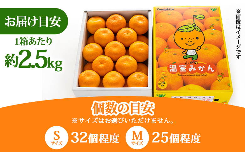 【３回定期便】山北温室みかん 2.5kg - 秀品 果物 くだもの フルーツ 柑橘 蜜柑 お歳暮 ギフト 産地直送 送料無料 小玉大玉 国産 品種 年内配送 御礼 お礼 高知県 香南市 Wku-0062