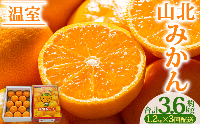 【３回定期便】山北温室みかん1.2kg - 秀品 果物 くだもの フルーツ 柑橘 蜜柑 お歳暮 ギフト 産地直送 送料無料 小玉大玉 国産 品種 年内配送 御礼 お礼 高知県 香南市 Wku-0060