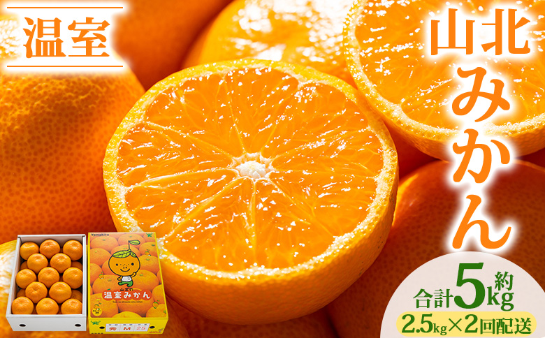 【2回定期便】山北温室みかん 2.5kg  - 秀品 果物 くだもの フルーツ 柑橘 蜜柑 お歳暮 ギフト 産地直送 送料無料 小玉大玉 国産 品種 年内配送 御礼 お礼 高知県 香南市  Wku-0061