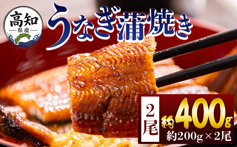 うなぎ蒲焼き 約200g×2尾(高知県産鰻) フジ物産 国産養殖 fb-0227