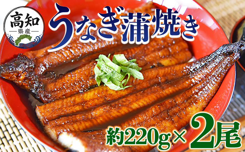 国産養殖うなぎ蒲焼き 2尾（合計約440g）高知県産鰻 - 鰻 ウナギ かばやき 蒲焼 土用の丑の日 スタミナ 夕飯 有頭 約220g おかず おつまみ うな丼 うな重 丼ぶり 丼物 さかな 肴 夕飯 夕食 朝食 お酒 グルメ 美味しい おいしい タレ付き たれ おいしい 美味しい ひつまぶし 丼ぶり 贅沢 ぜいたく お取り寄せ おとりよせ パック お祝い 内祝い 御礼 お礼 お歳暮 うなぎ大好き お礼 御礼 挨拶 あいさつ 贈り物 送料無料 高知県 香南市 冷凍 fb-0140