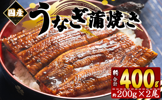 [計400g]国産養殖うなぎ蒲焼き 約200g×2尾(愛知県産鰻) 鰻 ウナギ かばやき 1万円以上 10000円以上 fb-0138