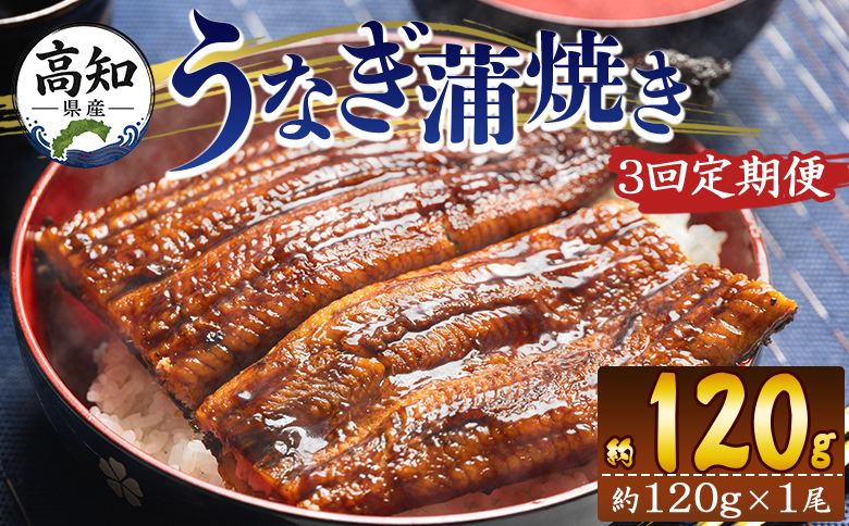 【３回定期便】高知県産養殖うなぎ蒲焼き 100～120g 1尾 うなぎ 魚介 国産 海鮮 魚 かばやき 鰻 ウナギ 惣菜 おかず お手軽 加工品 加工食品 冷凍 Wfb-0034